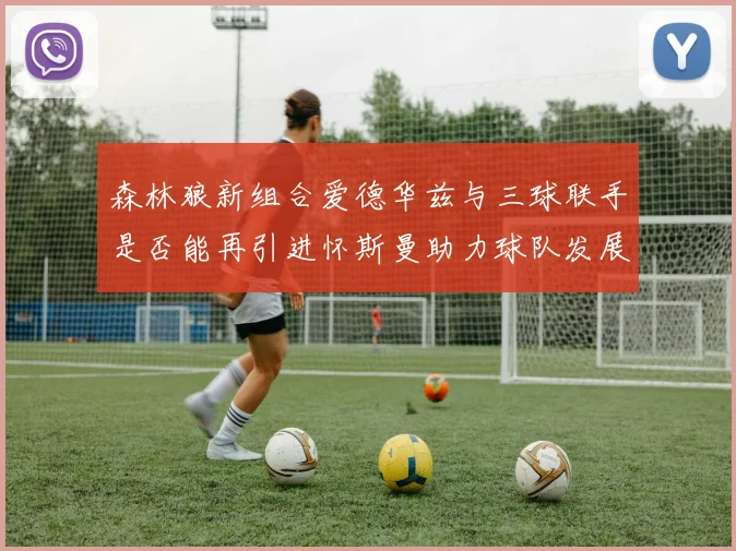 森林狼新组合爱德华兹与三球联手是否能再引进怀斯曼助力球队发展